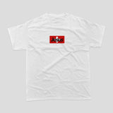 Christ over Switzerland