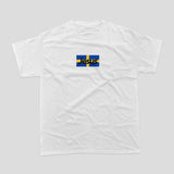 Christ over Sweden